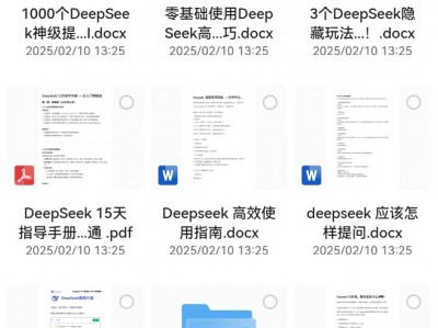 DeepSeek各种指令版本教程大全