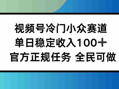 视频号小众赛道，单日稳定收入100+，适合所有人