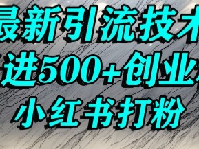 小红书精准引流创业粉教程