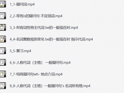 子龙老师语法精讲课程118节42.1G