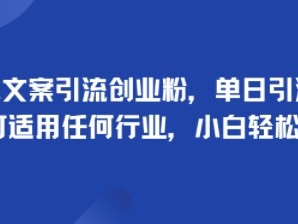 手掌文案引流创业粉教程，单日引流100+，适用任何行业，小白轻松上手