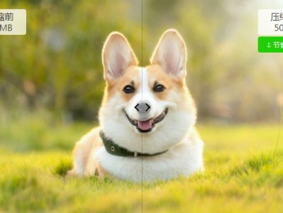 图压免费开源图片批量压缩软件教程